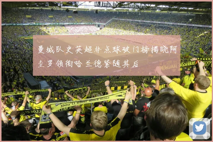 曼城队史英超非点球破门榜揭晓阿圭罗领衔哈兰德紧随其后