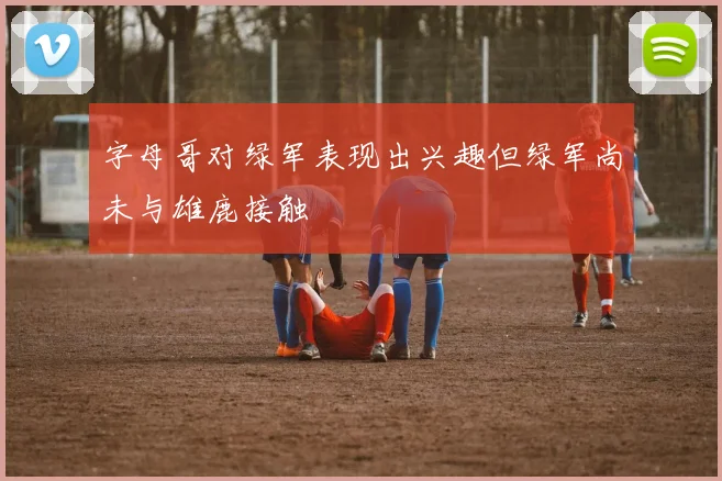 字母哥对绿军表现出兴趣但绿军尚未与雄鹿接触
